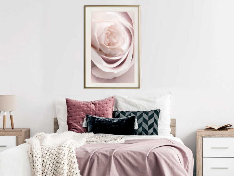 Wall Poster Porcelain Rose - light pink plant with a beautiful fresh rose flower 122859 additionalImage 21