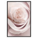 Wall Poster Porcelain Rose - light pink plant with a beautiful fresh rose flower 122859 additionalThumb 18