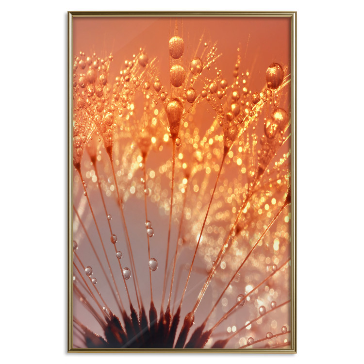 Poster Autumn Dandelion - natural plant flower in close-up 123859 additionalImage 18