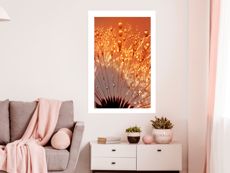 Poster Autumn Dandelion - natural plant flower in close-up 123859 additionalImage 2
