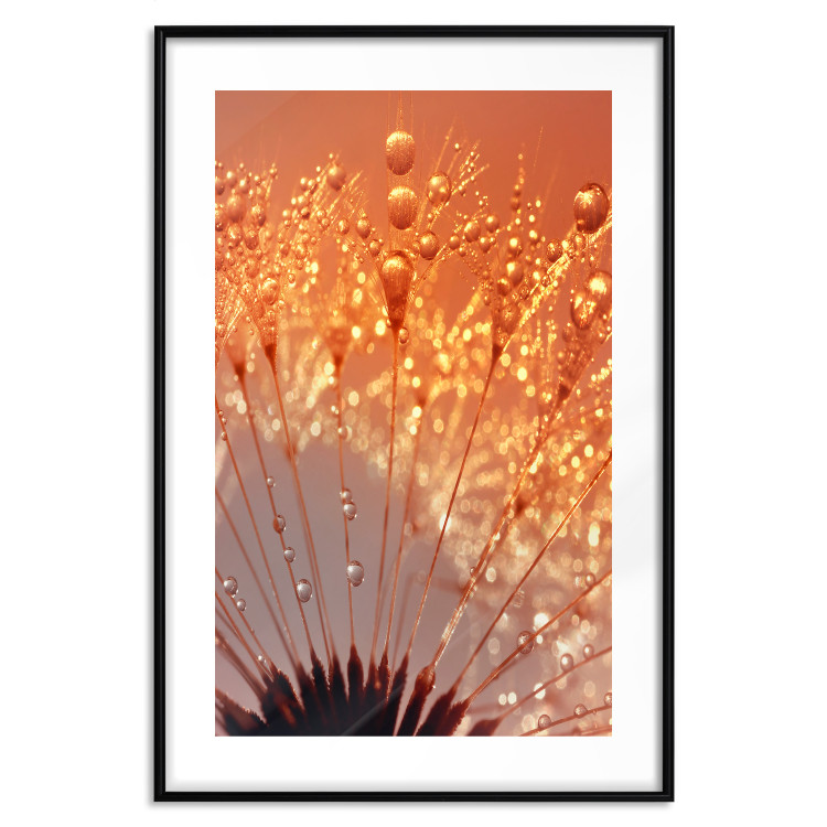 Poster Autumn Dandelion - natural plant flower in close-up 123859 additionalImage 19