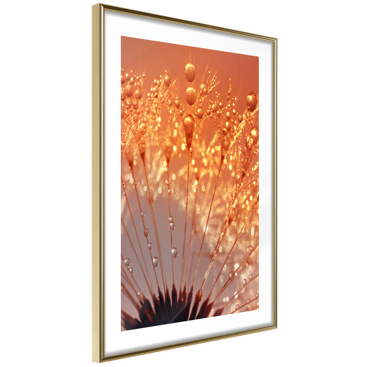 Poster Autumn Dandelion - natural plant flower in close-up 123859 additionalImage 6