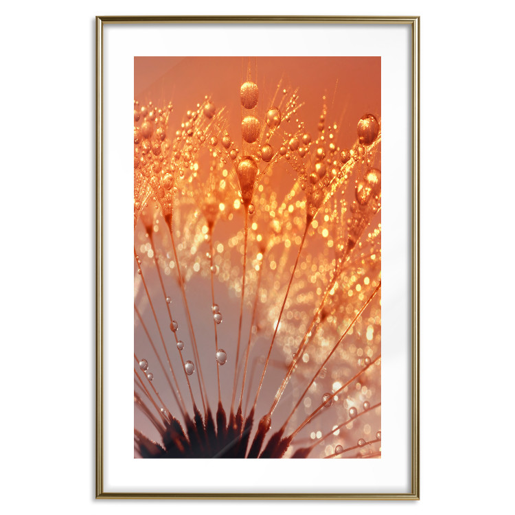Poster Autumn Dandelion - natural plant flower in close-up 123859 additionalImage 20