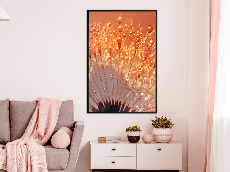 Poster Autumn Dandelion - natural plant flower in close-up 123859 additionalImage 3
