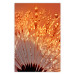 Poster Autumn Dandelion - natural plant flower in close-up 123859