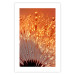 Poster Autumn Dandelion - natural plant flower in close-up 123859 additionalThumb 15