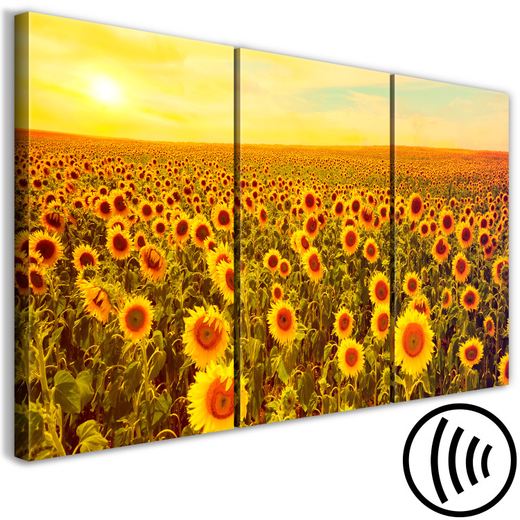 Canvas Art Print Sunflowers at Sunset (3 Parts) 124359 additionalImage 6