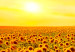 Canvas Art Print Sunflowers at Sunset (3 Parts) 124359 additionalThumb 4