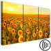 Canvas Art Print Sunflowers at Sunset (3 Parts) 124359 additionalThumb 6