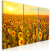 Canvas Art Print Sunflowers at Sunset (3 Parts) 124359 additionalThumb 2