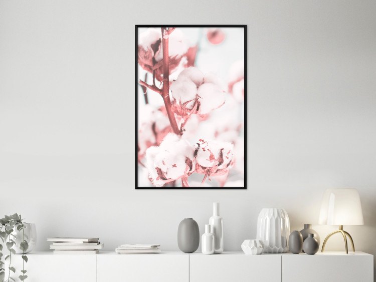 Poster Cotton in Bloom - delicate cotton flowers in winter light 124459 additionalImage 3