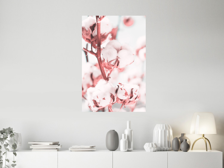 Poster Cotton in Bloom - delicate cotton flowers in winter light 124459 additionalImage 17
