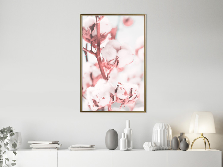 Poster Cotton in Bloom - delicate cotton flowers in winter light 124459 additionalImage 5