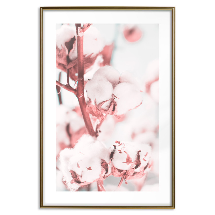 Poster Cotton in Bloom - delicate cotton flowers in winter light 124459 additionalImage 14
