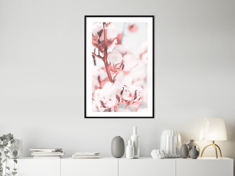 Poster Cotton in Bloom - delicate cotton flowers in winter light 124459 additionalImage 4