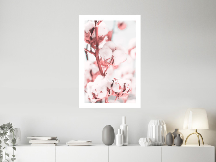 Poster Cotton in Bloom - delicate cotton flowers in winter light 124459 additionalImage 2