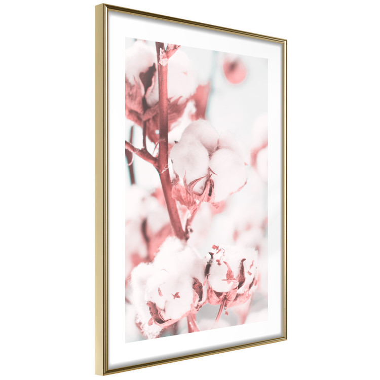 Poster Cotton in Bloom - delicate cotton flowers in winter light 124459 additionalImage 6