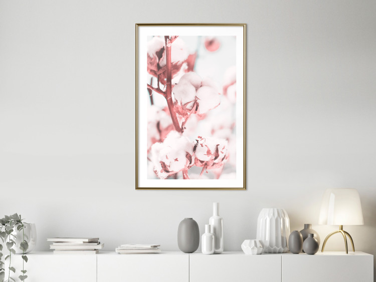 Poster Cotton in Bloom - delicate cotton flowers in winter light 124459 additionalImage 13