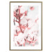 Poster Cotton in Bloom - delicate cotton flowers in winter light 124459 additionalThumb 14