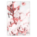 Poster Cotton in Bloom - delicate cotton flowers in winter light 124459