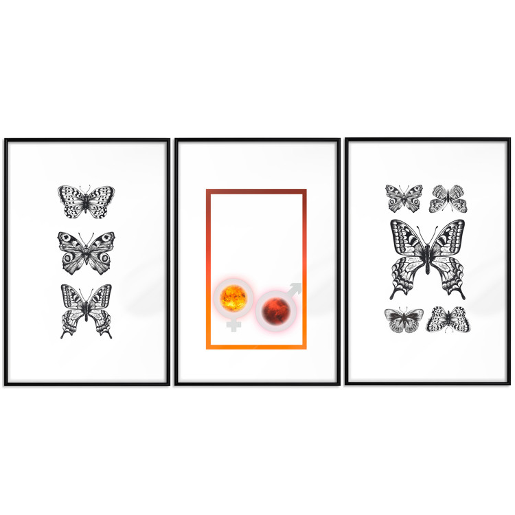 Gallery wall art Butterflies 124759 additionalImage 1
