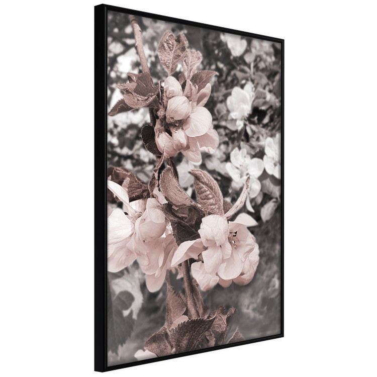 Poster Balance in Nature - composition of flowers in delicate light colors 127859 additionalImage 11