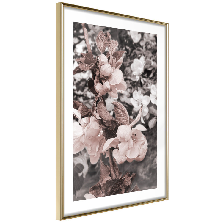 Poster Balance in Nature - composition of flowers in delicate light colors 127859 additionalImage 9