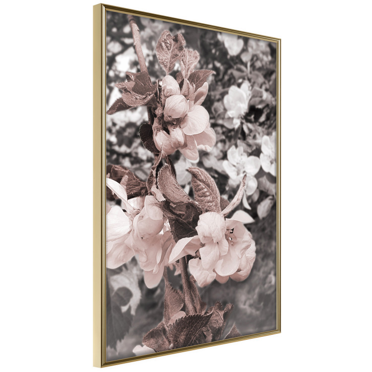 Poster Balance in Nature - composition of flowers in delicate light colors 127859 additionalImage 12