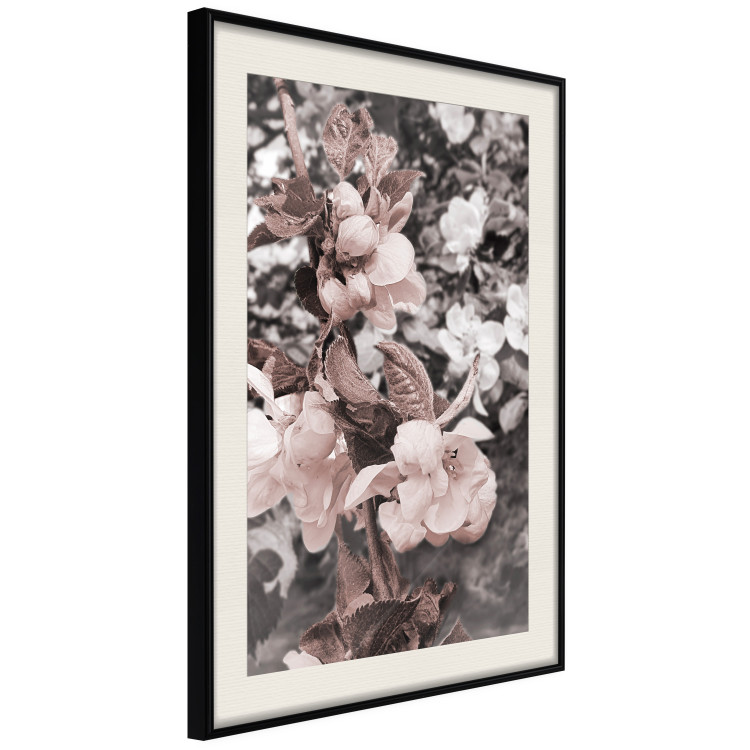 Poster Balance in Nature - composition of flowers in delicate light colors 127859 additionalImage 2