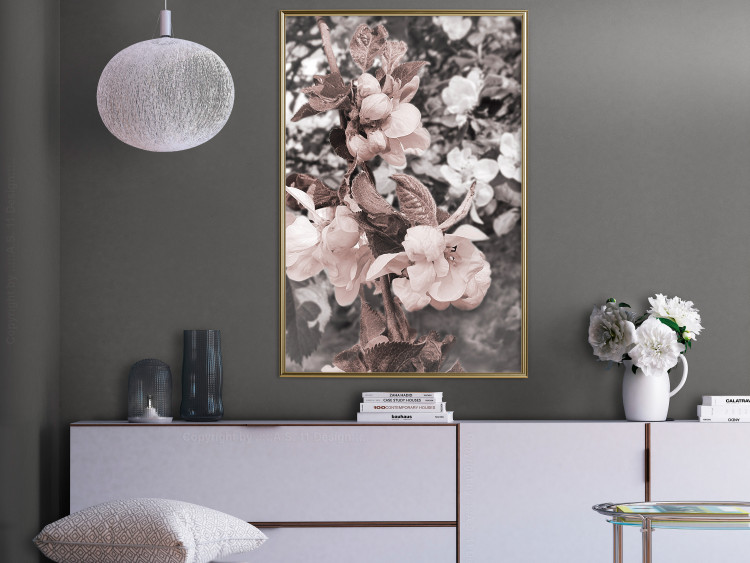 Poster Balance in Nature - composition of flowers in delicate light colors 127859 additionalImage 5