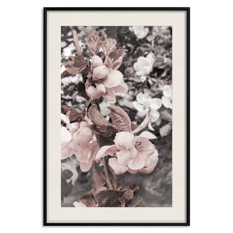 Poster Balance in Nature - composition of flowers in delicate light colors 127859 additionalImage 19