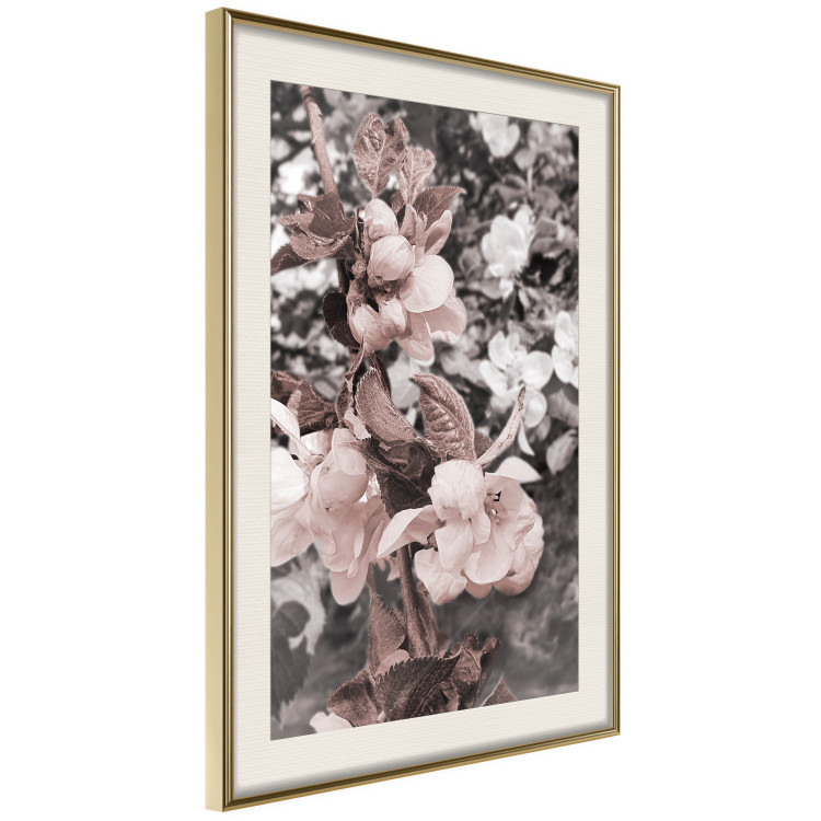 Poster Balance in Nature - composition of flowers in delicate light colors 127859 additionalImage 3