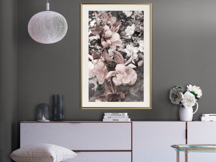 Poster Balance in Nature - composition of flowers in delicate light colors 127859 additionalImage 22