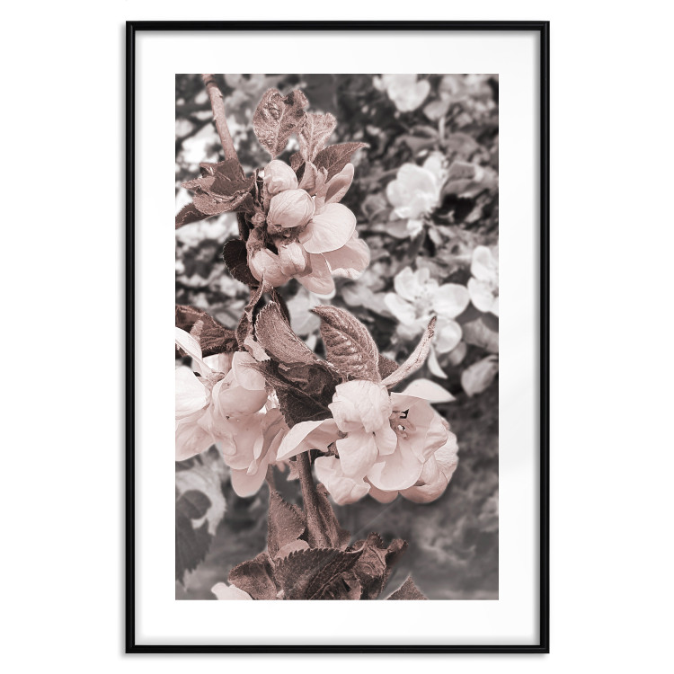 Poster Balance in Nature - composition of flowers in delicate light colors 127859 additionalImage 15