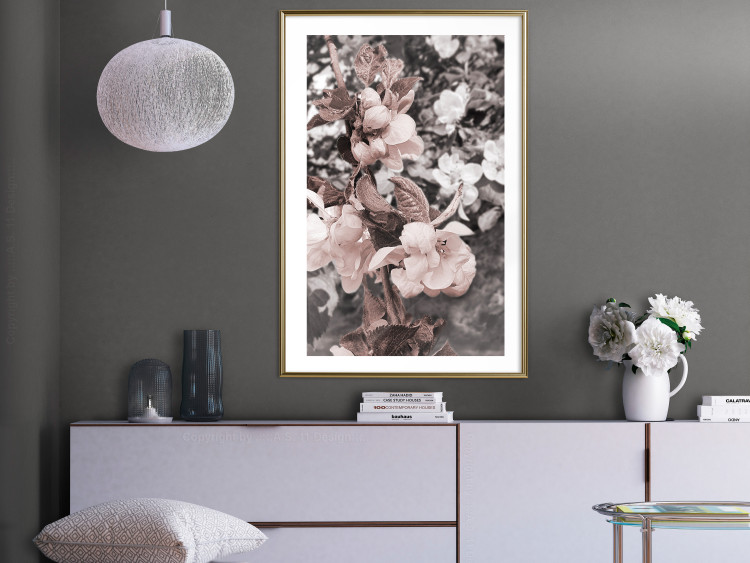 Poster Balance in Nature - composition of flowers in delicate light colors 127859 additionalImage 15