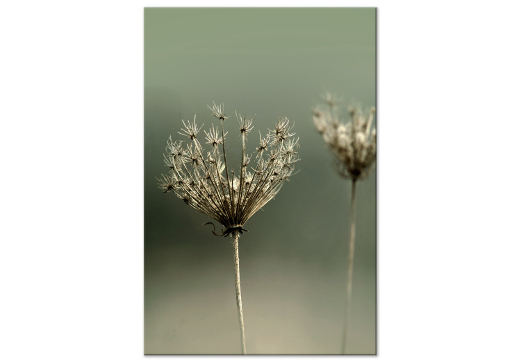 Canvas Print Longing for Past Summer (1-piece) Vertical - photograph of flowers 130259