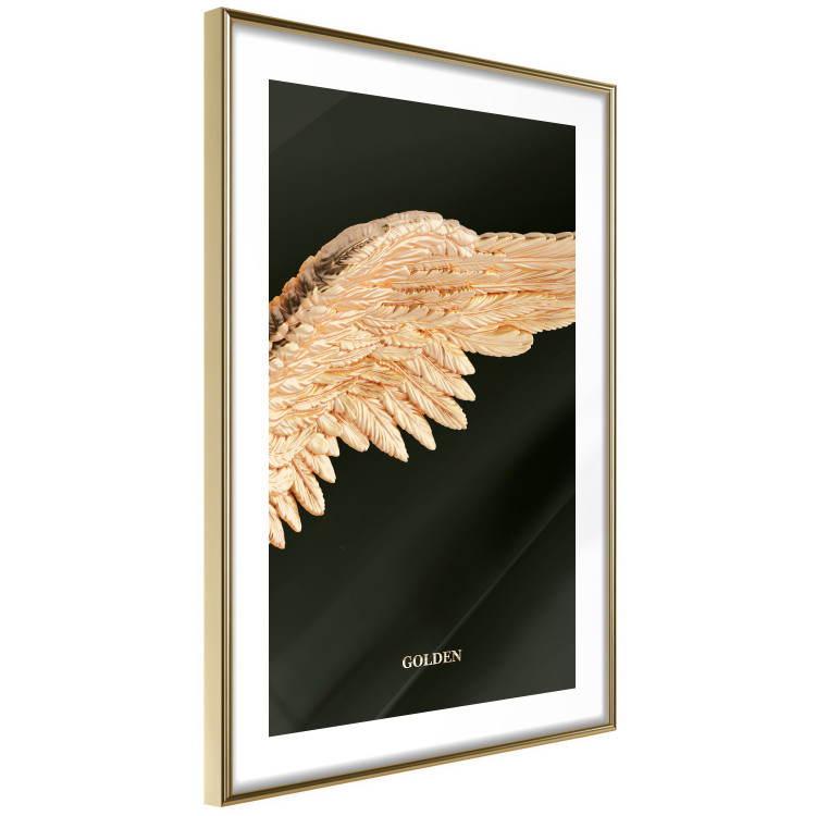 Poster Lightness of Being - wing with golden feathers on a black background 130459 additionalImage 6