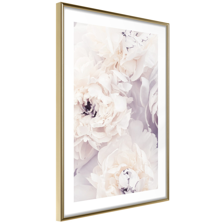 Poster Vanilla Magnolias - composition of flowers with a delicate purple hue 135759 additionalImage 9