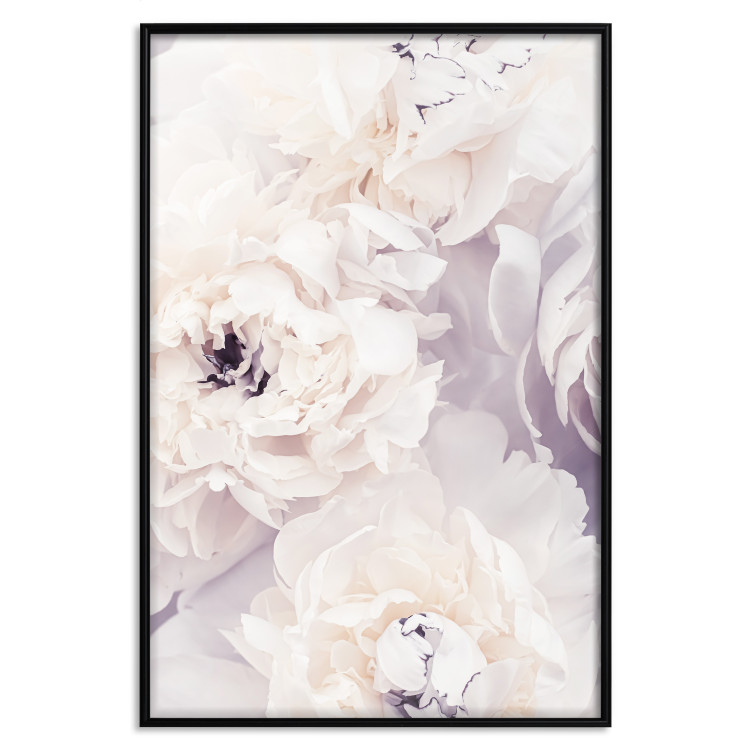 Poster Vanilla Magnolias - composition of flowers with a delicate purple hue 135759 additionalImage 4