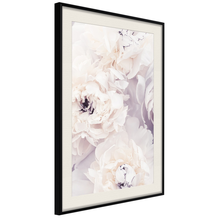 Poster Vanilla Magnolias - composition of flowers with a delicate purple hue 135759 additionalImage 11