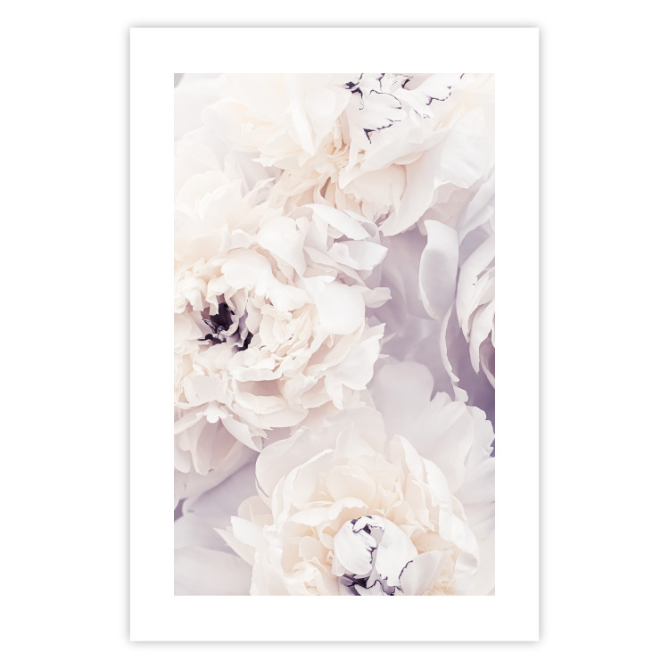 Poster Vanilla Magnolias - composition of flowers with a delicate purple hue 135759 additionalImage 3