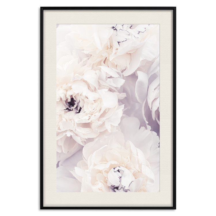 Poster Vanilla Magnolias - composition of flowers with a delicate purple hue 135759 additionalImage 26