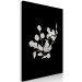Canvas Eucalyptus Twigs - Minimalist Plants on a Dark Background 146159 additionalThumb 2