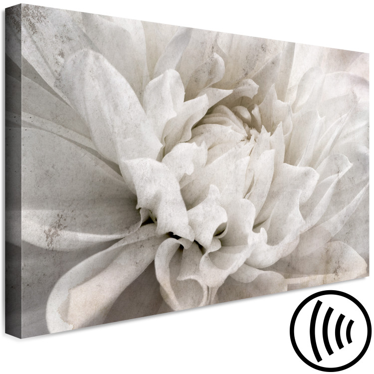 Canvas Art Print Marble Flower (1-piece) - light petals arranged on a white background 149259 additionalImage 6