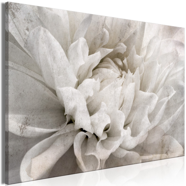 Canvas Art Print Marble Flower (1-piece) - light petals arranged on a white background 149259 additionalImage 2