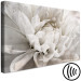 Canvas Art Print Marble Flower (1-piece) - light petals arranged on a white background 149259 additionalThumb 6