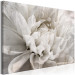 Canvas Art Print Marble Flower (1-piece) - light petals arranged on a white background 149259 additionalThumb 2
