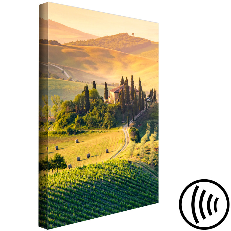 Canvas Sunny Fields of Tuscany - Landscape Photography at Sunset 149859 additionalImage 6