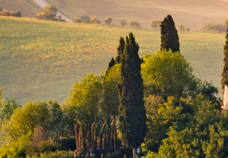Canvas Sunny Fields of Tuscany - Landscape Photography at Sunset 149859 additionalImage 4