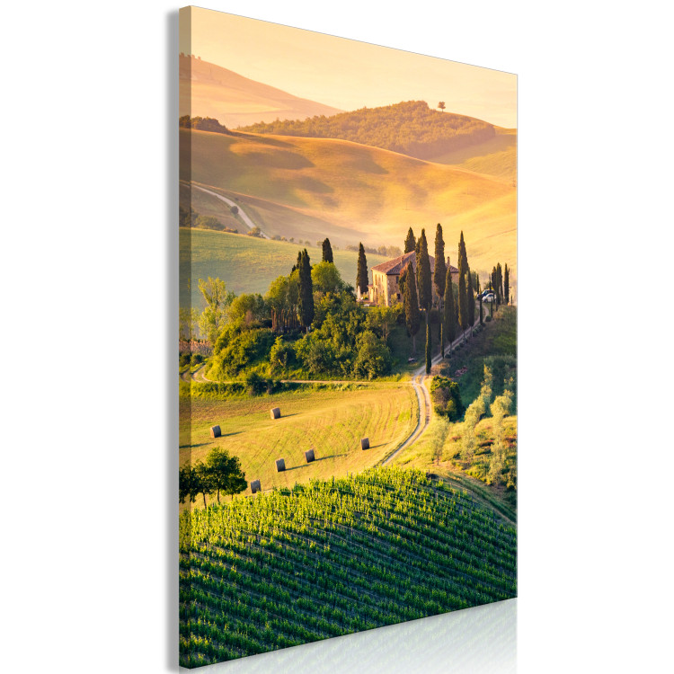 Canvas Sunny Fields of Tuscany - Landscape Photography at Sunset 149859 additionalImage 2